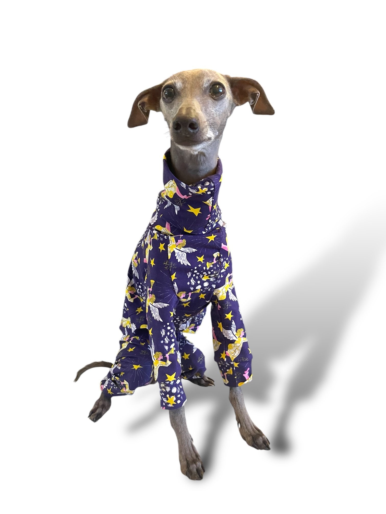 Dog wearing a purple floral pajama set on a white background