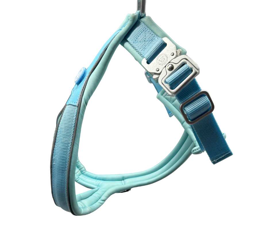The 2.5cm BTactical™ Slip on Harness | Pastel Blue