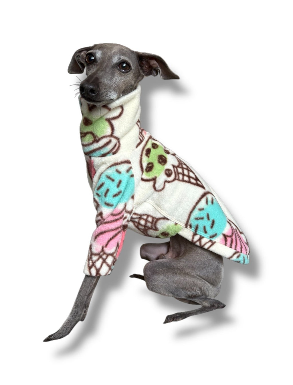Dog wearing a colorful patterned sweater on a white background
