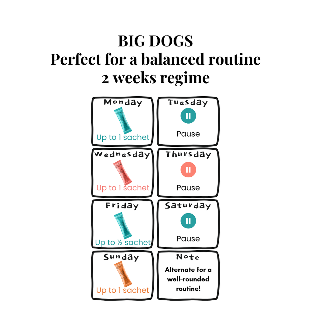 The Wellness Collection (7 Sticks Pouch)