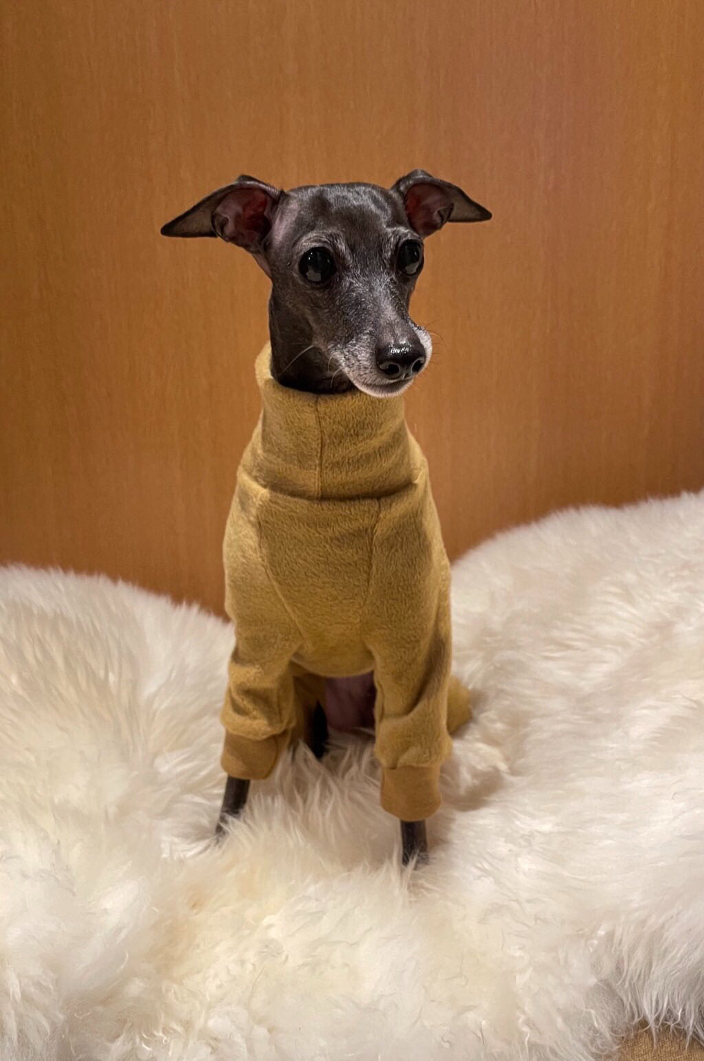 Fleece Lined Sweatshirt - Honey Yellow