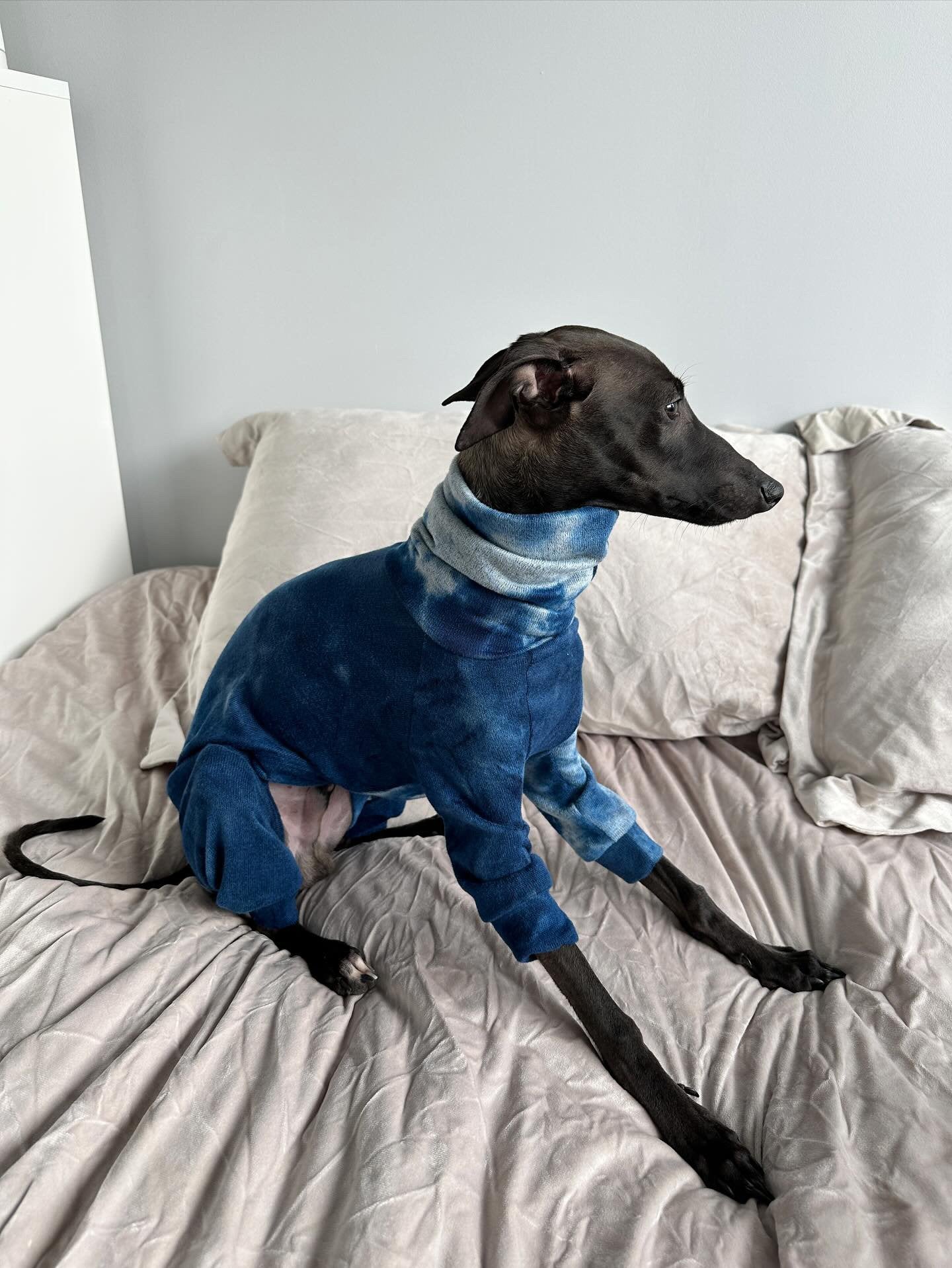 Blue Tie Dye Woolly Jersey