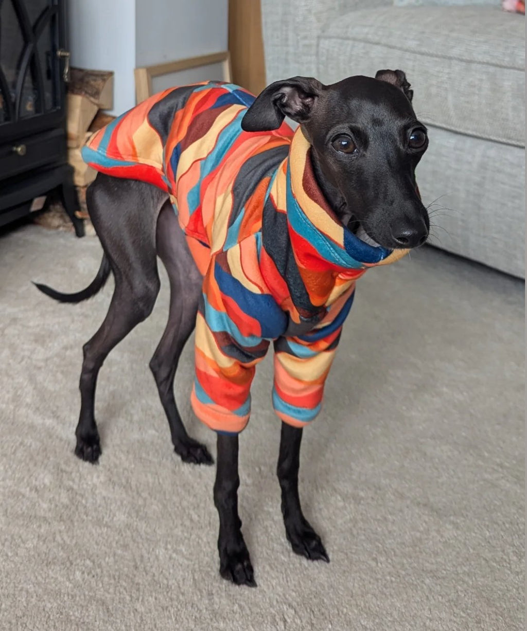 Sherpa Lined Fleece Puppy Jumper - Mountains