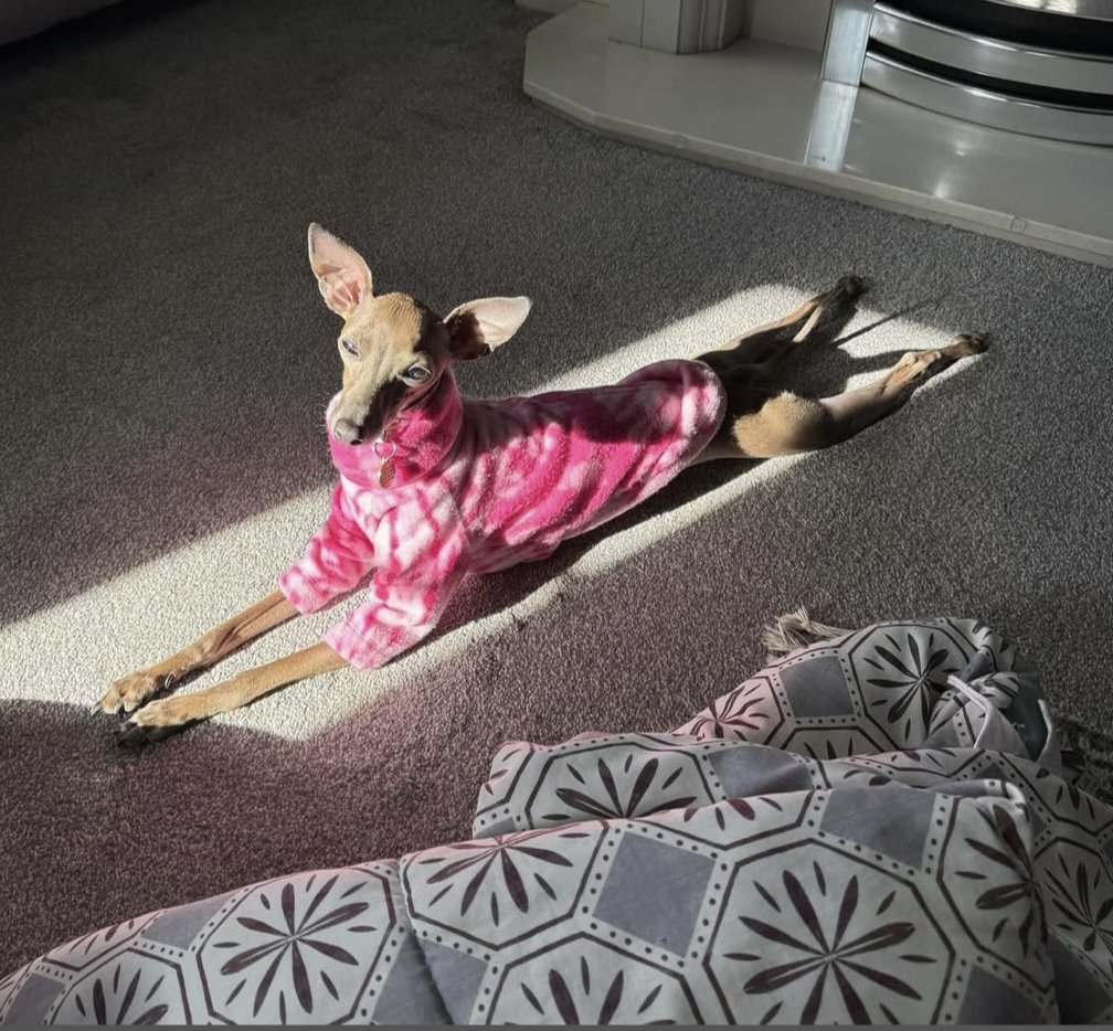 Fleece Jumper - Pink Tie Dye