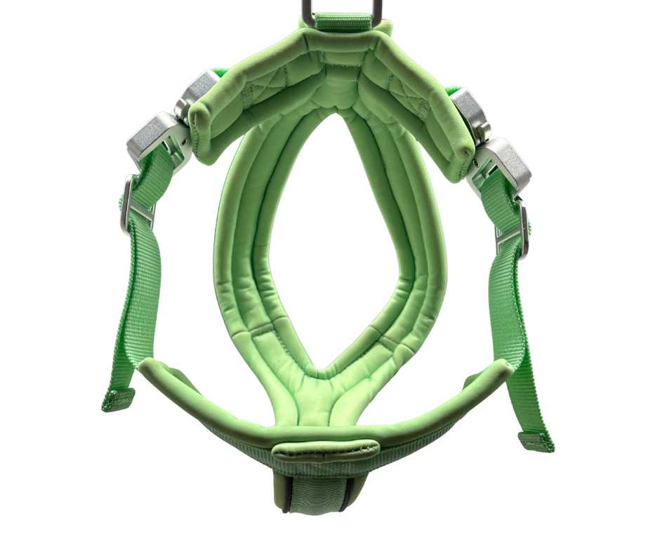 The 2.5cm BTactical™ Slip on Harness | Pastel Green