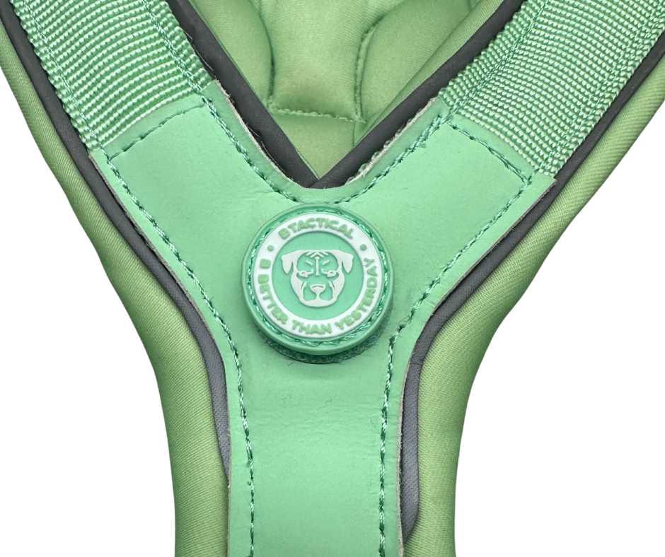 The 2.5cm BTactical™ Slip on Harness | Pastel Green