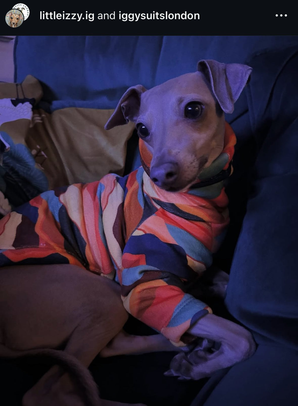 Sherpa Lined Fleece Puppy Jumper - Mountains