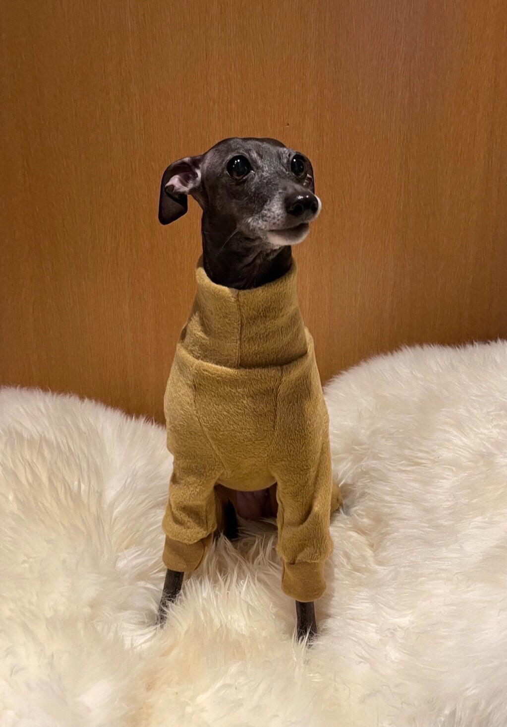 Fleece Lined Sweatshirt - Honey Yellow