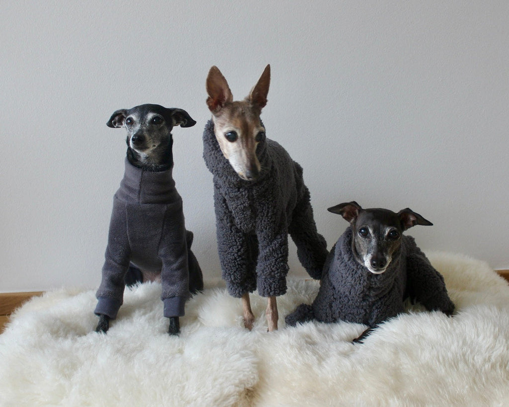 Three dogs wearing gray sweaters sitting on a white surface.