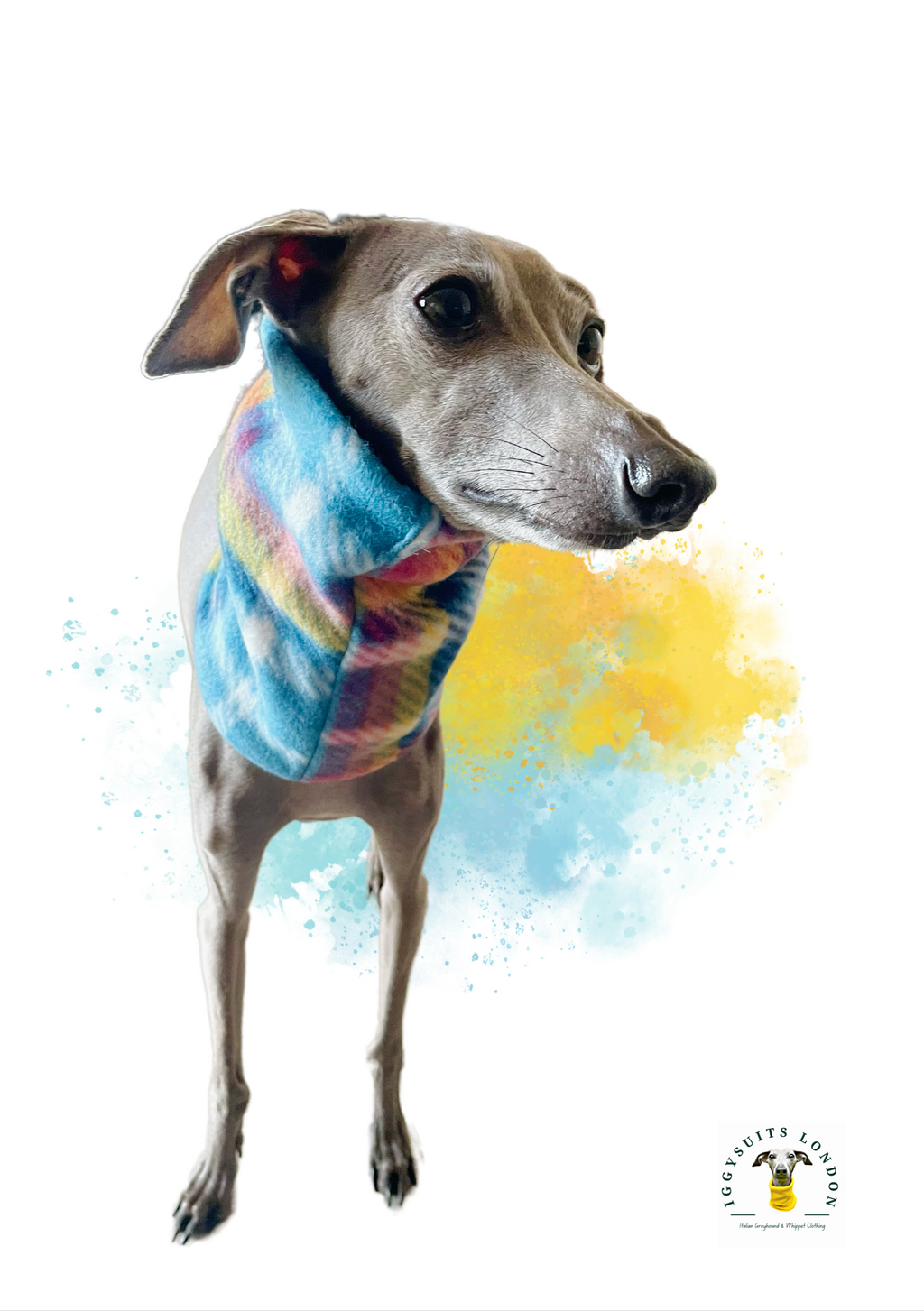 Snoods (Various) - Fleece & Sweatshirt