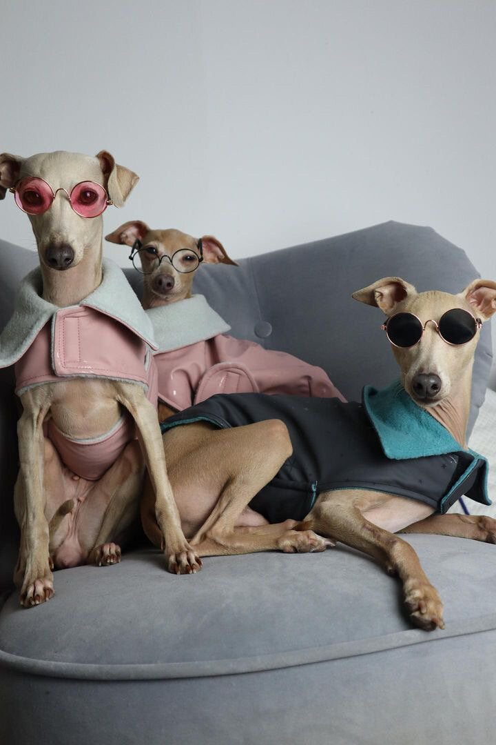 Rain Mac - Blush Pink Submarines