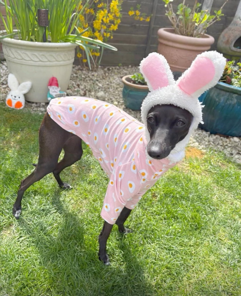 Jersey T-Shirt - Fried Eggs