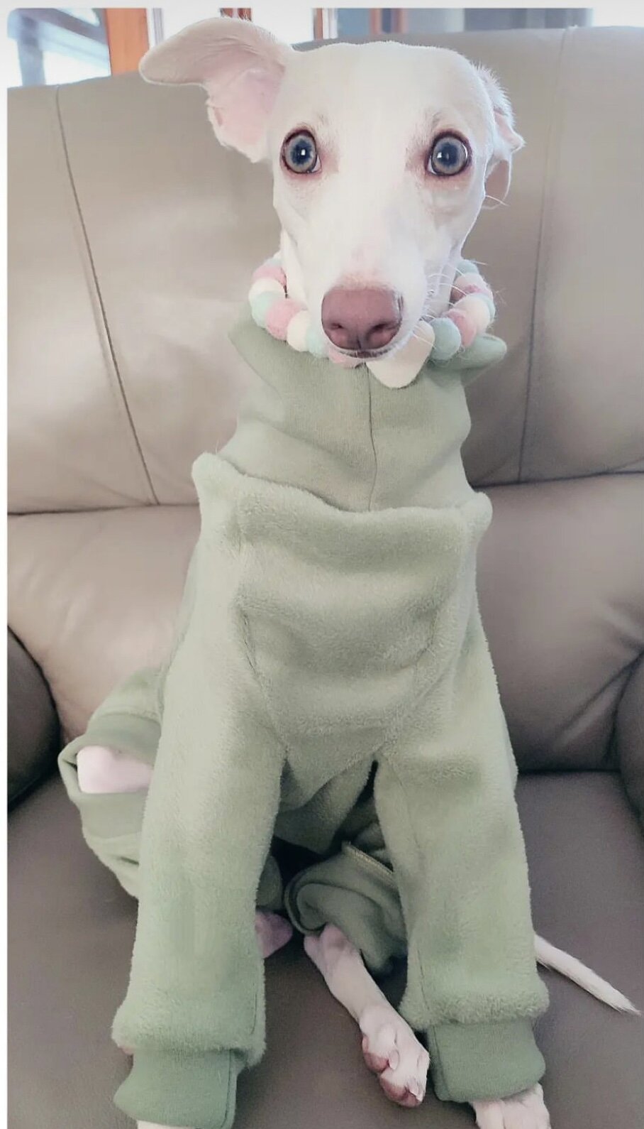 Fleece Lined Sweatshirt - Charcoal Grey