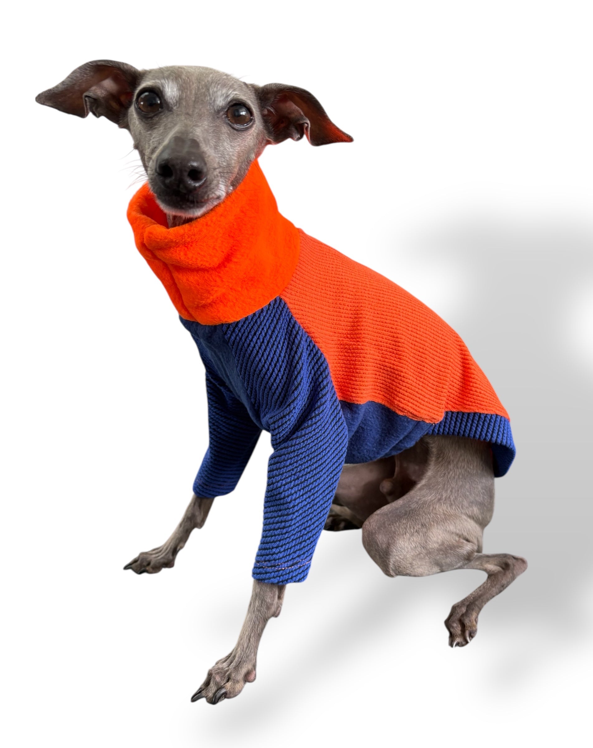 Ribbed Jersey & Fleece T-Shirt - Tropicana