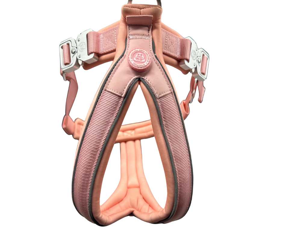 The 2.5cm BTactical™ Slip on Harnesses