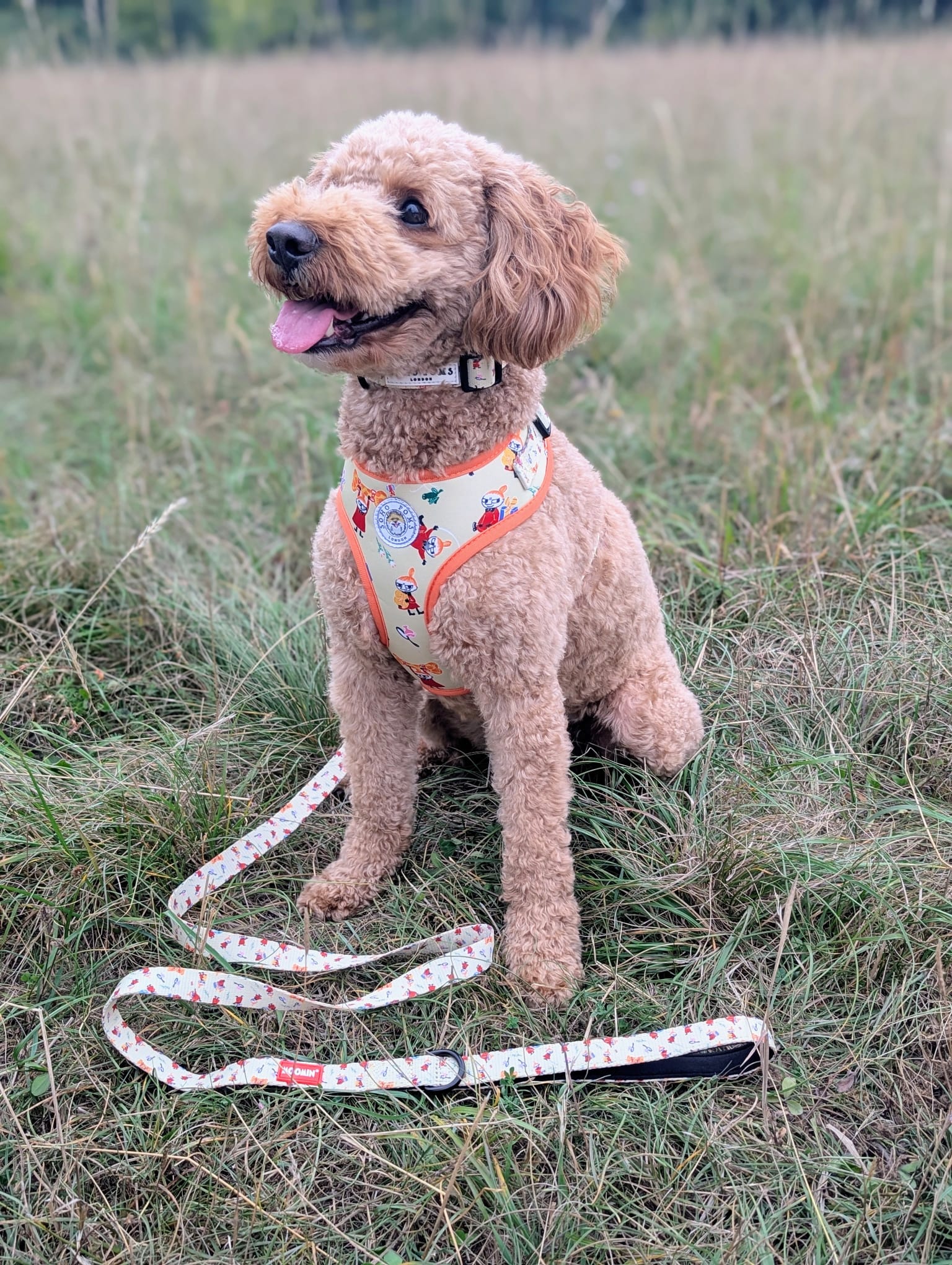 Moomins Yellow Sunrise Dog Lead by Soho Poms
