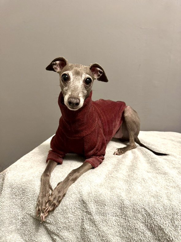 Jersey T-Shirt- Pink Herringbone Velvet