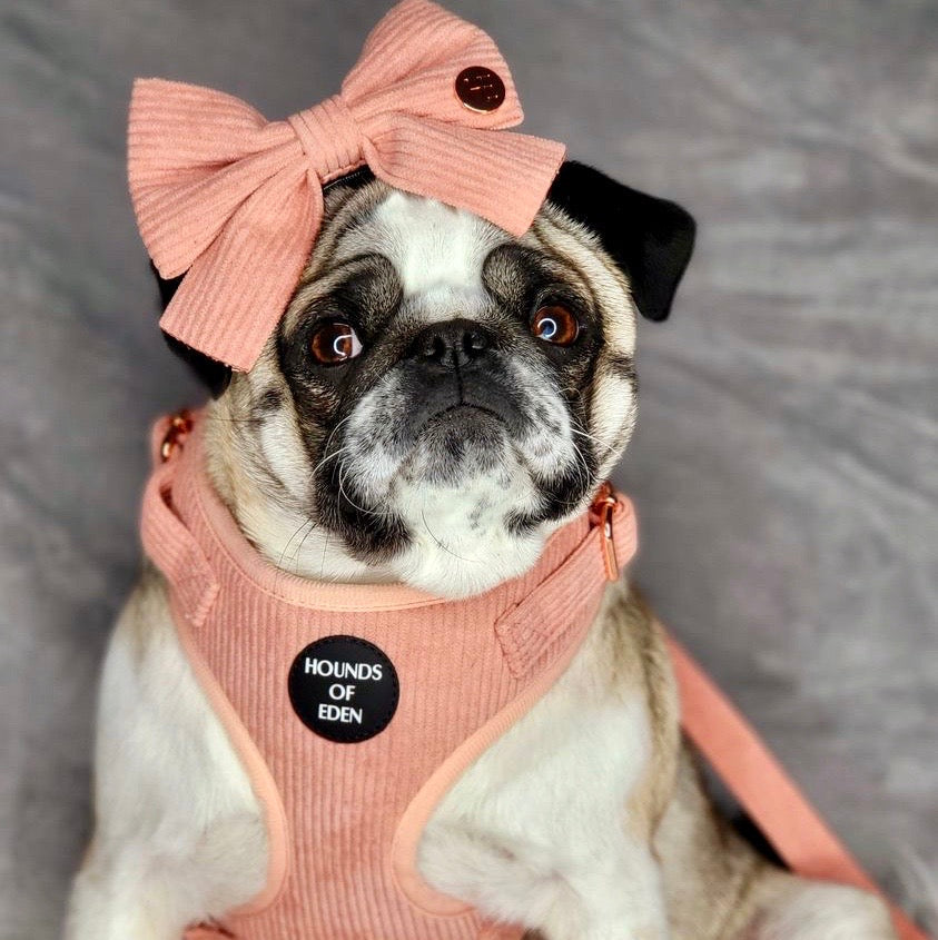 Pink Corduroy Harness