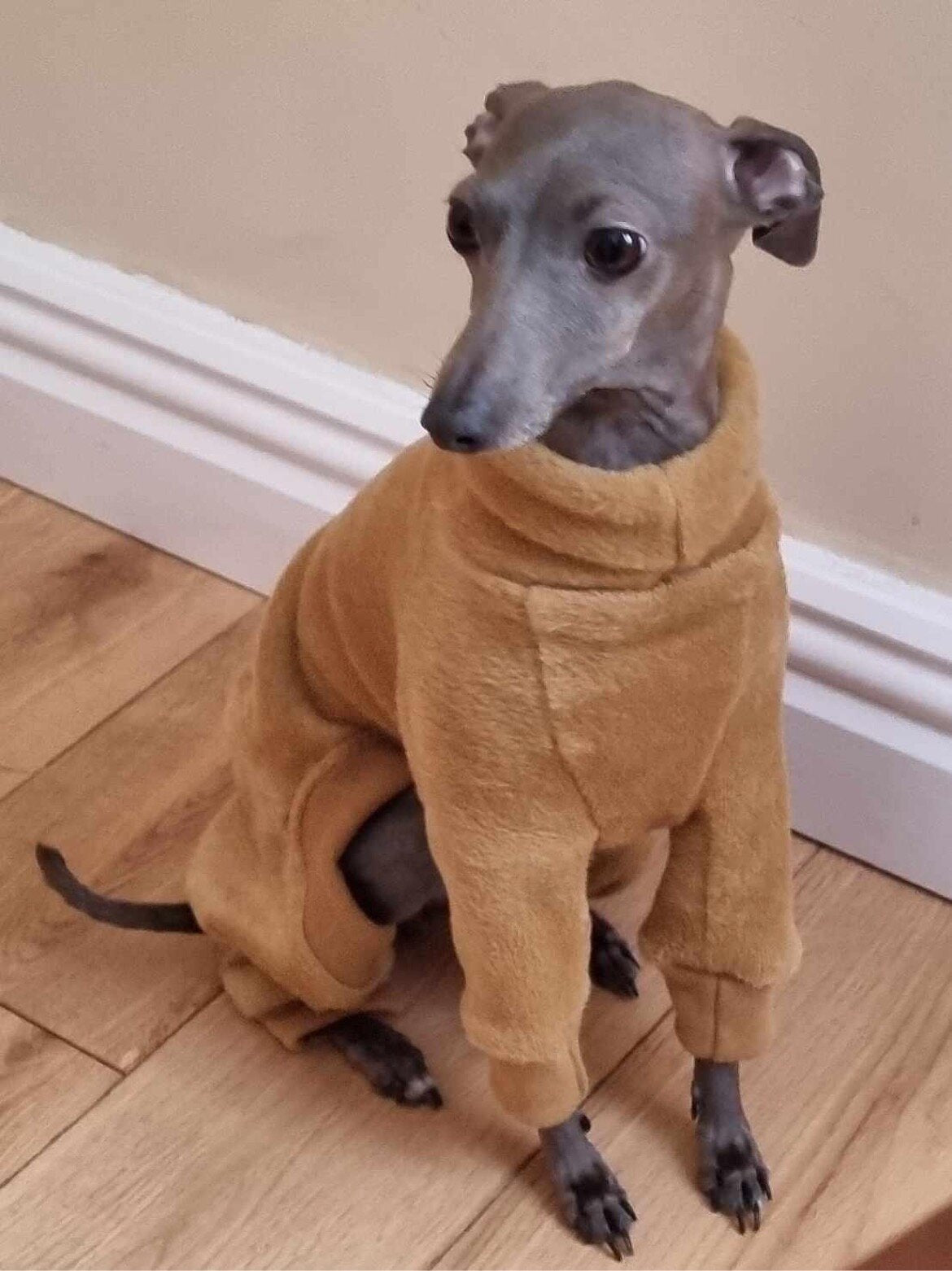 Fleece Lined Sweatshirt - Honey Yellow