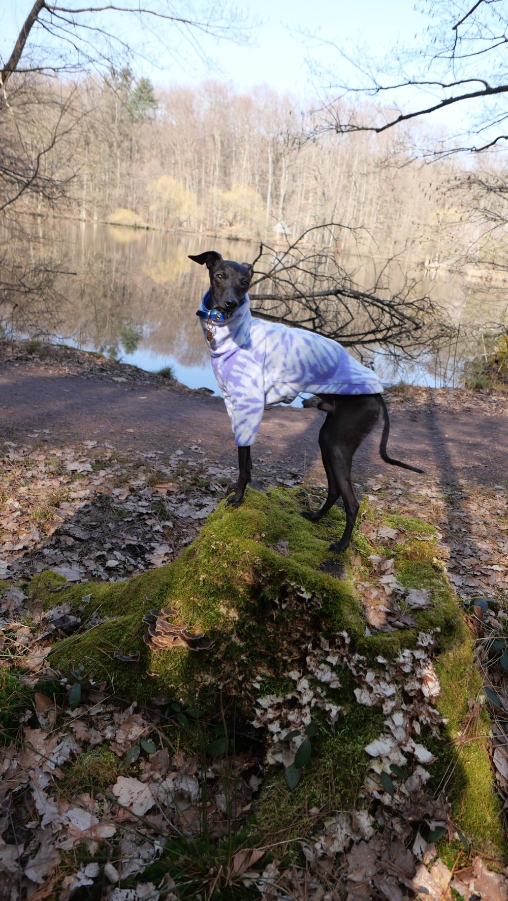 Fleece Jumper - Purple Tie Dye