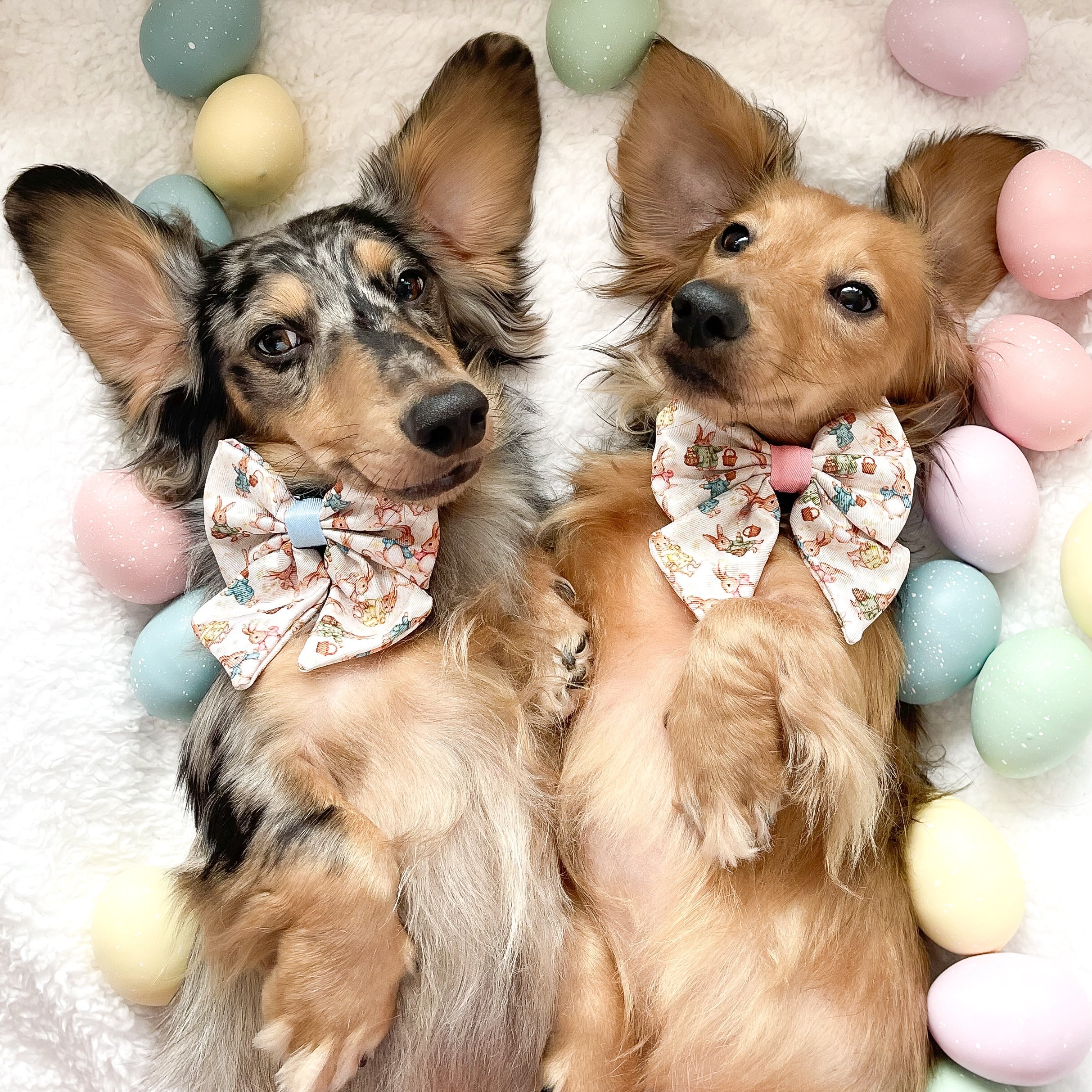 Bunny Tales - Pink, Dog Sailor Bow Tie