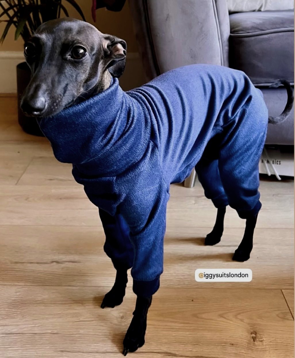 Mink Velour Jersey Suit - Navy Blue