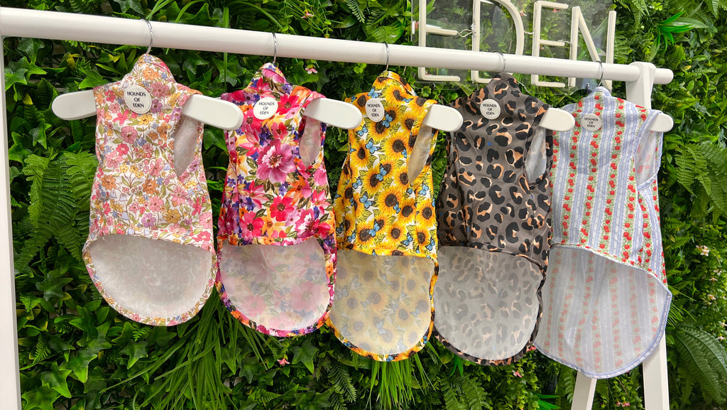 Eden's Orchard Dog Cooling Vest