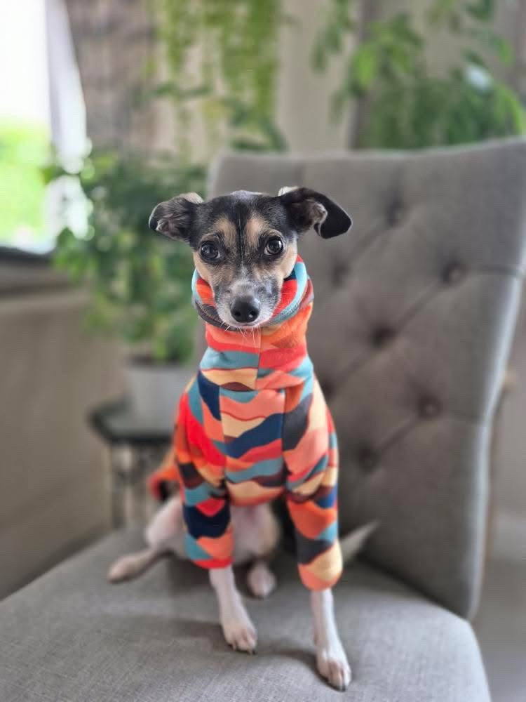 Sherpa Lined Fleece Puppy Jumper - Mountains