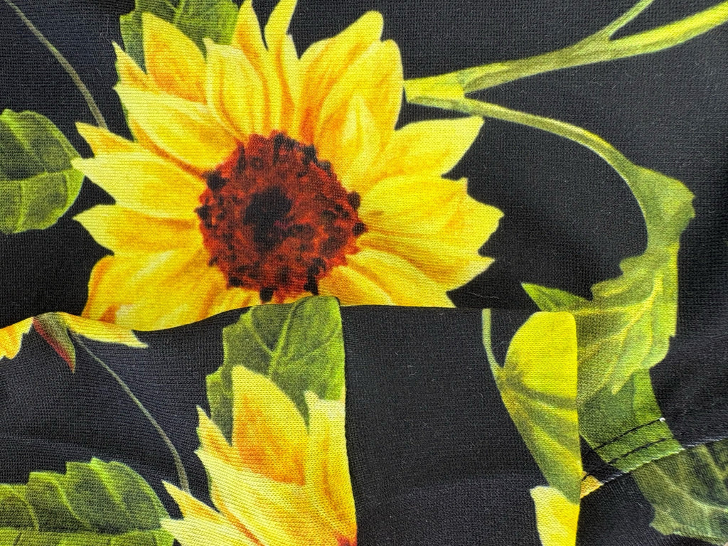 Close-up of a yellow sunflower with green leaves on a black background