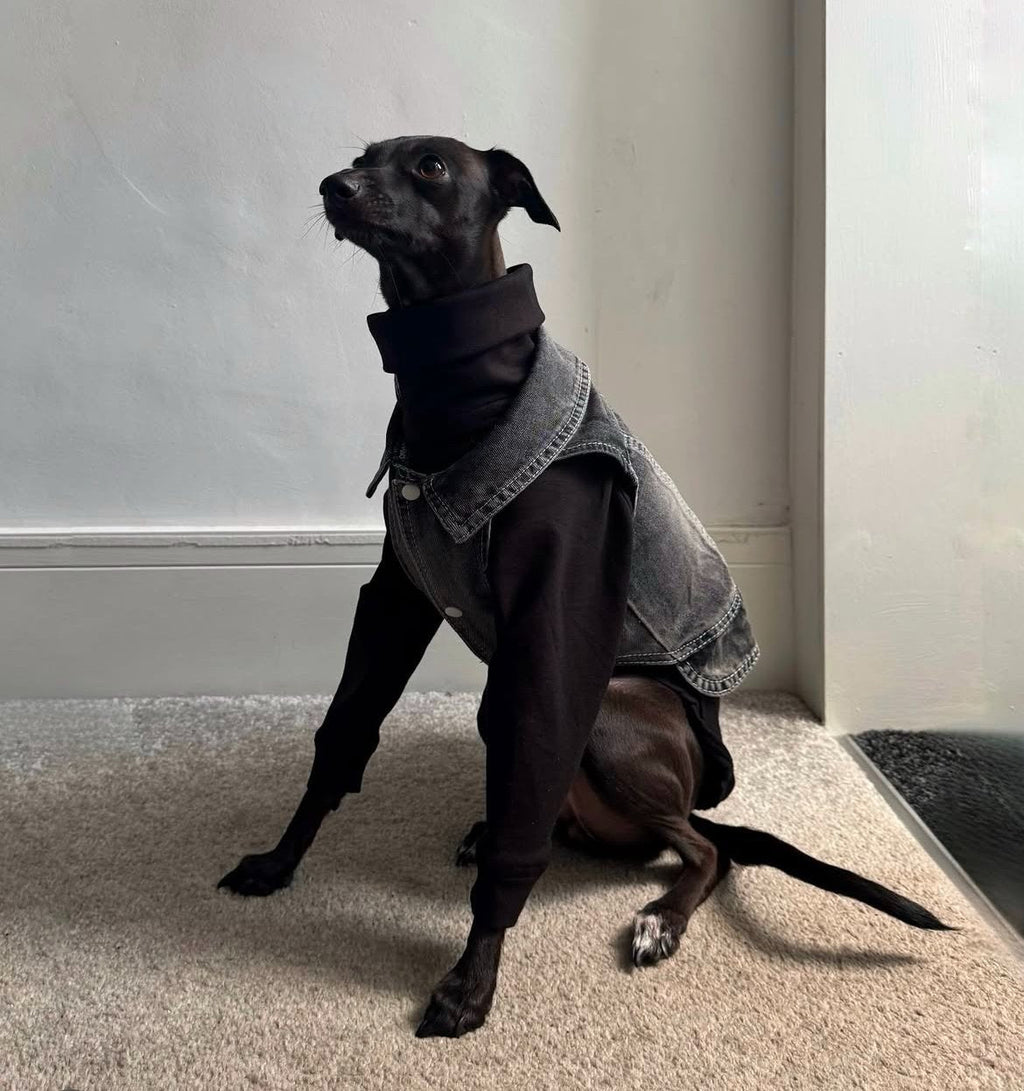 Denim Jacket - Cool Iggy Club