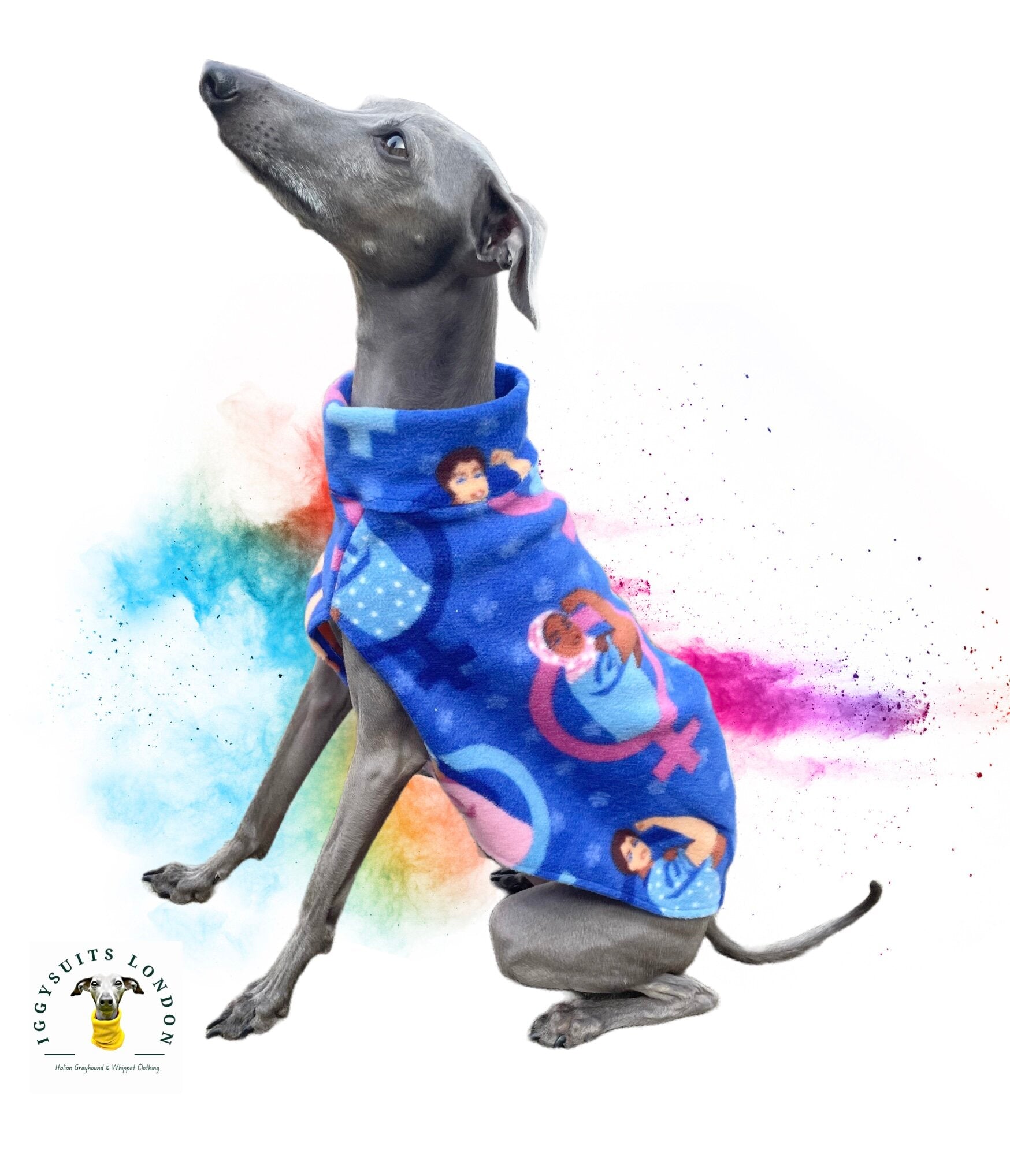 Dog wearing a colorful fleece coat with a rainbow background