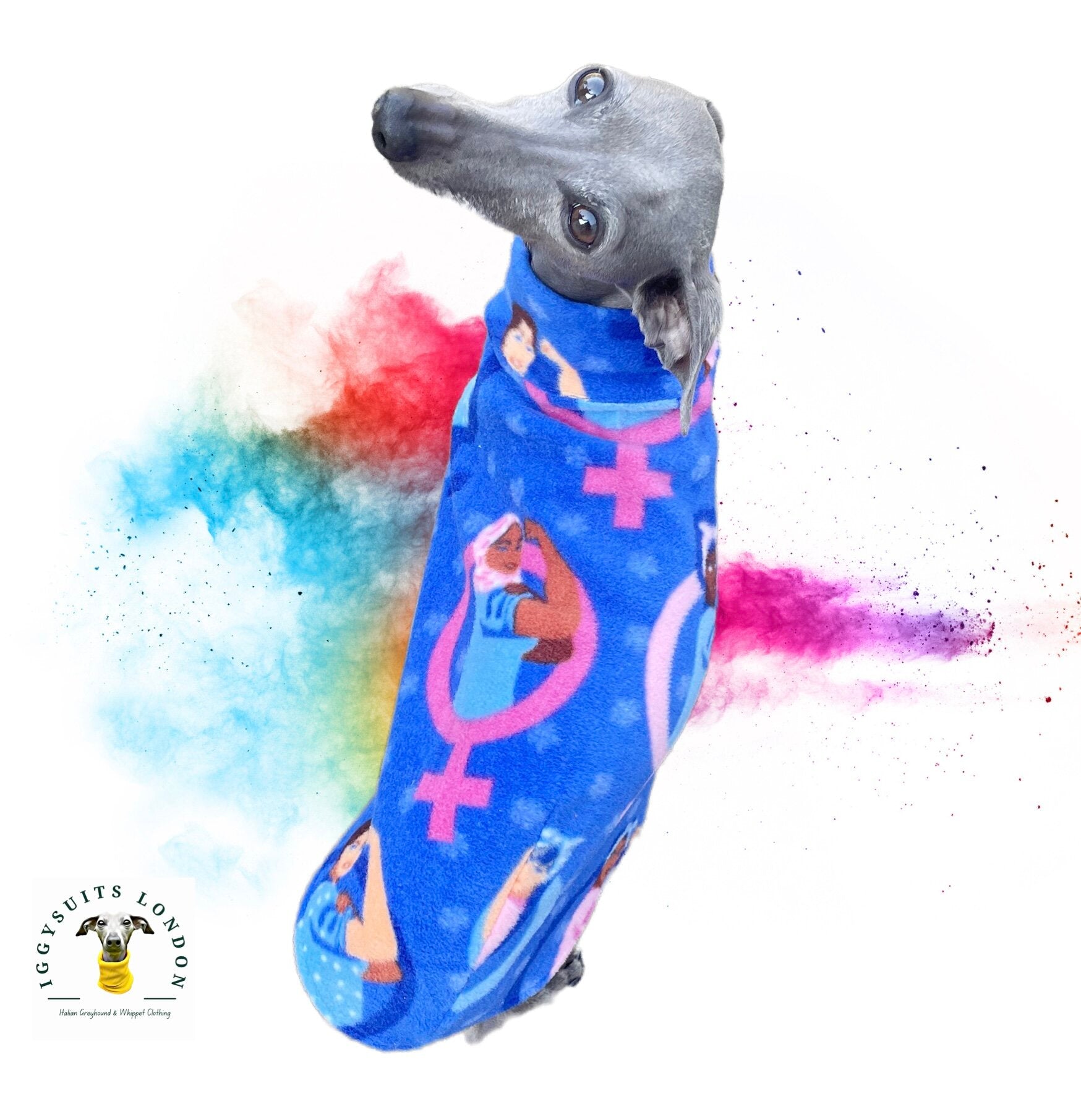 Fleece Vest - Strong Women