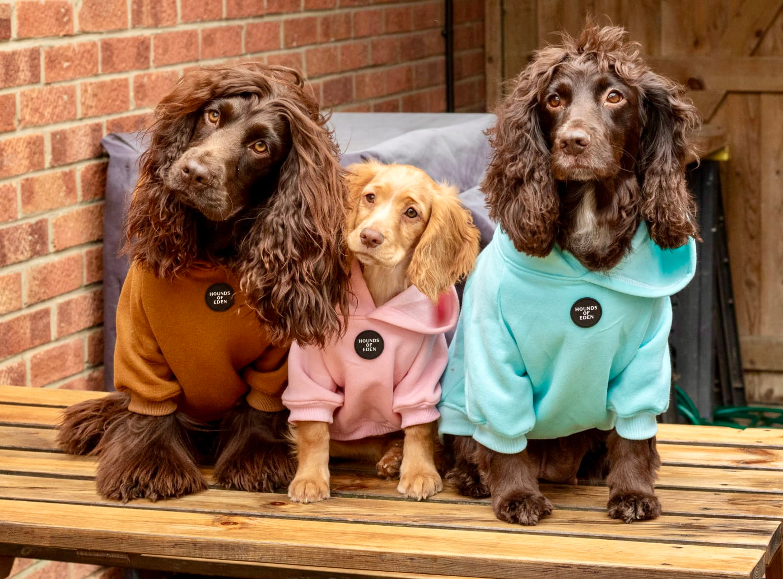 Dog Hoodie - Olive Green