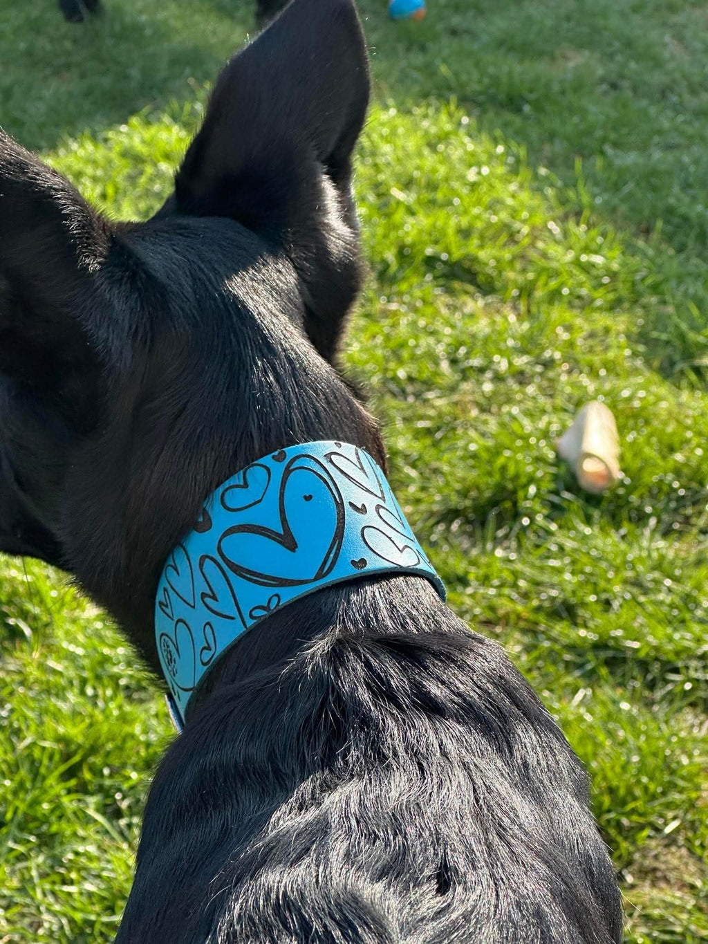 Leather Collar - Hearts