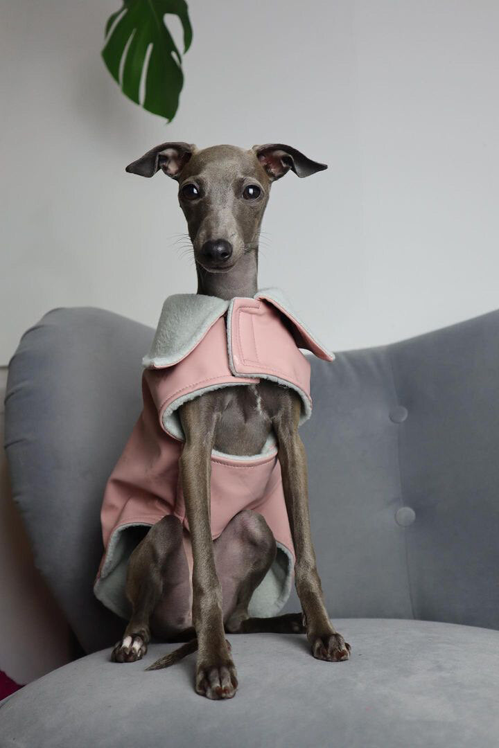 Rain Mac - Blush Pink Submarines