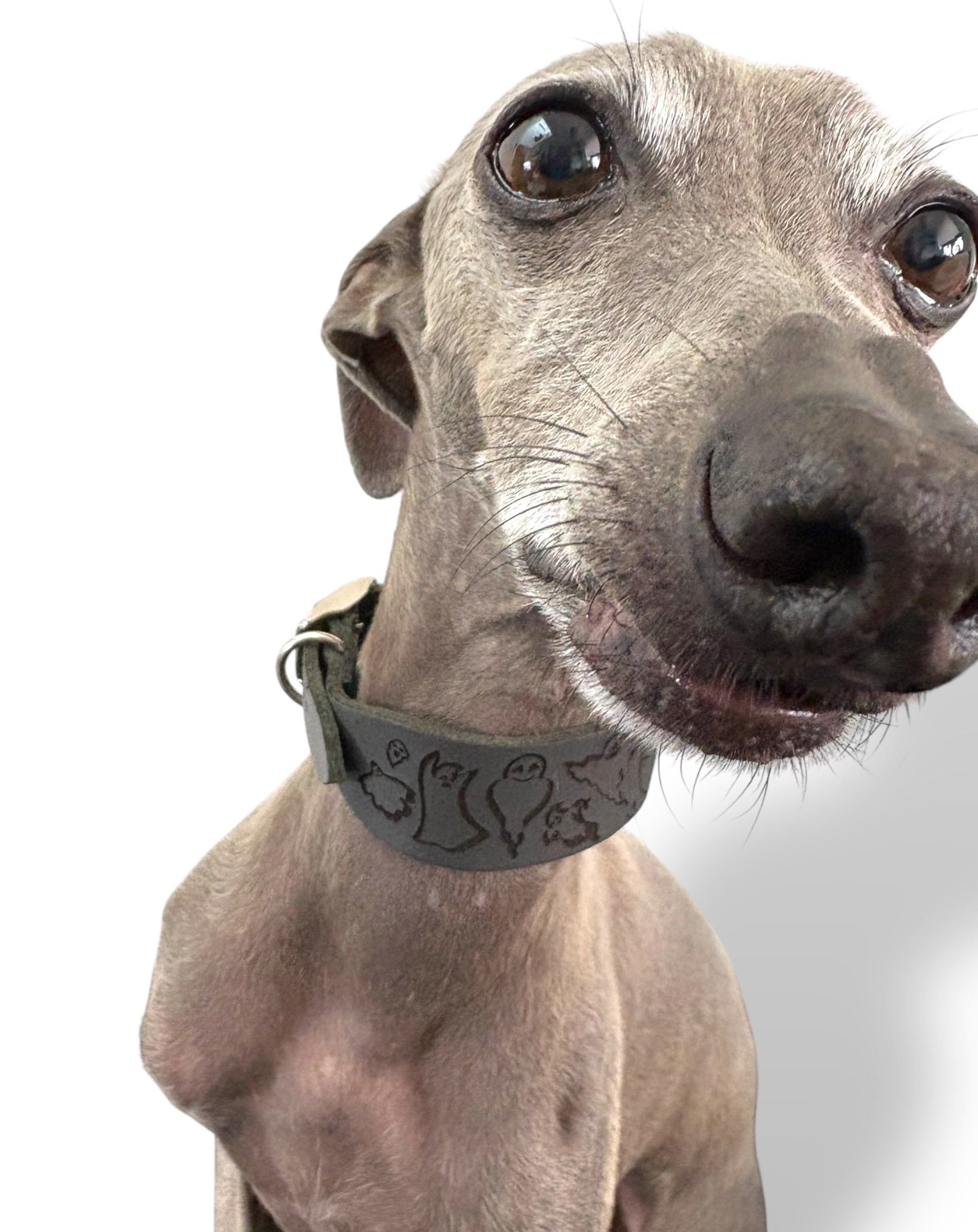 Leather Collar - HALLOWEEN - Ghosties