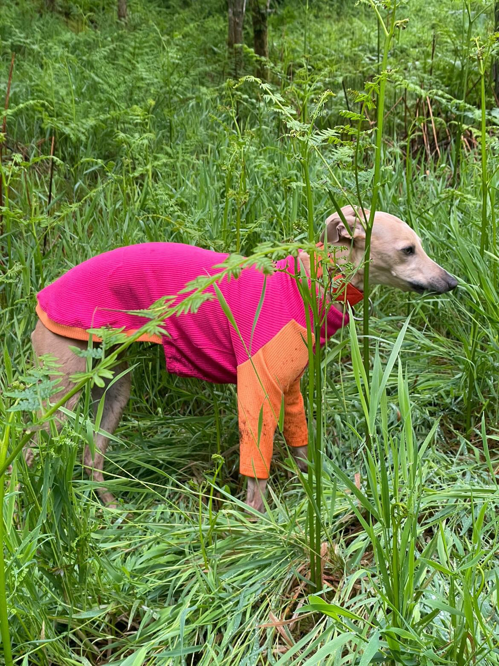 Ribbed Jersey T-Shirt - Fuchsia