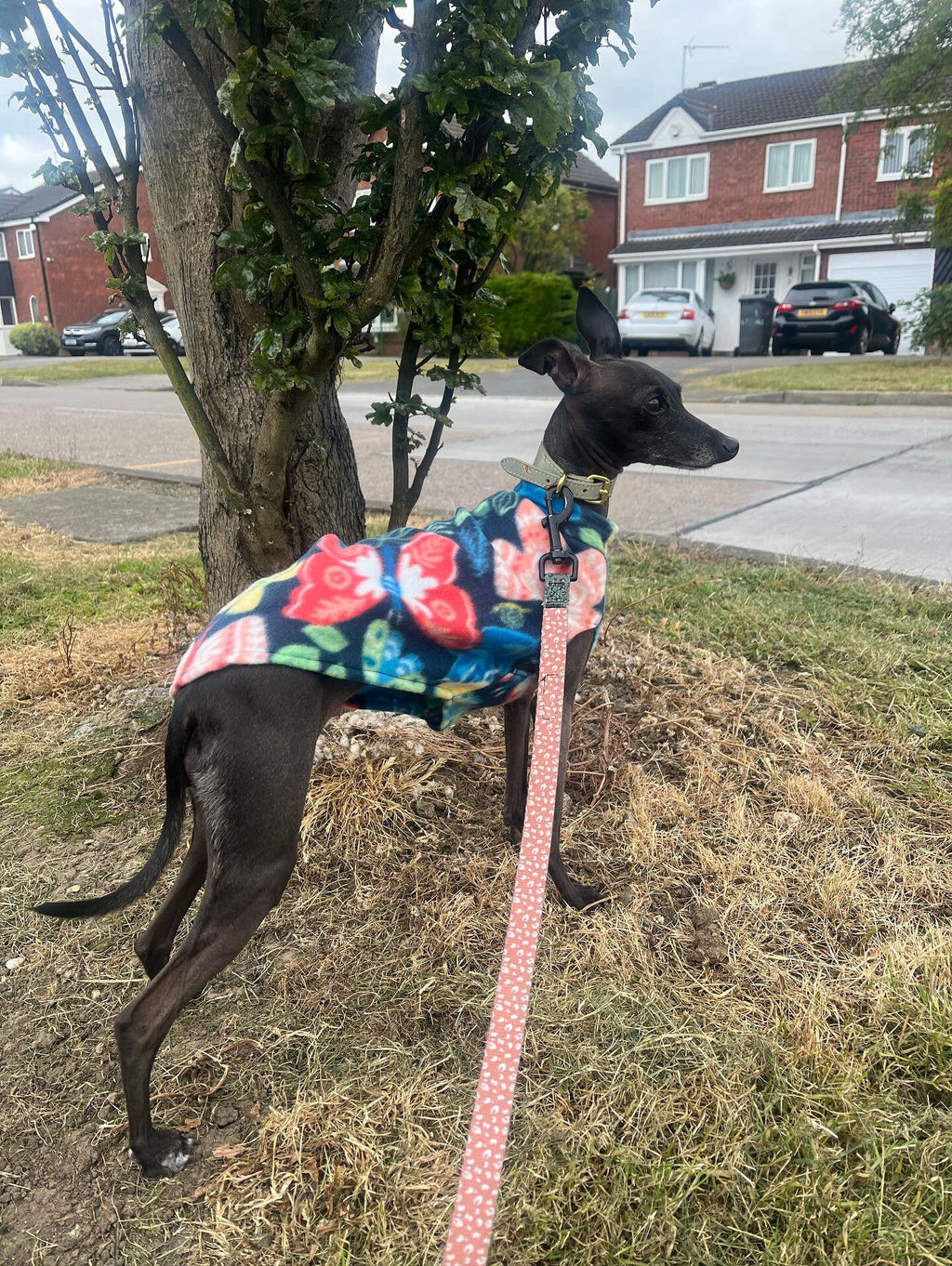 Fleece Vest - Butterfly Garden