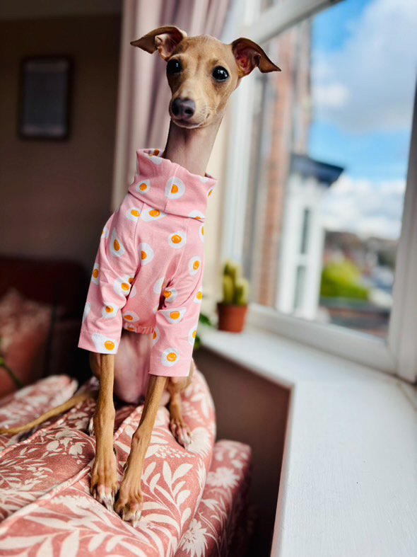 Jersey T-Shirt - Fried Eggs