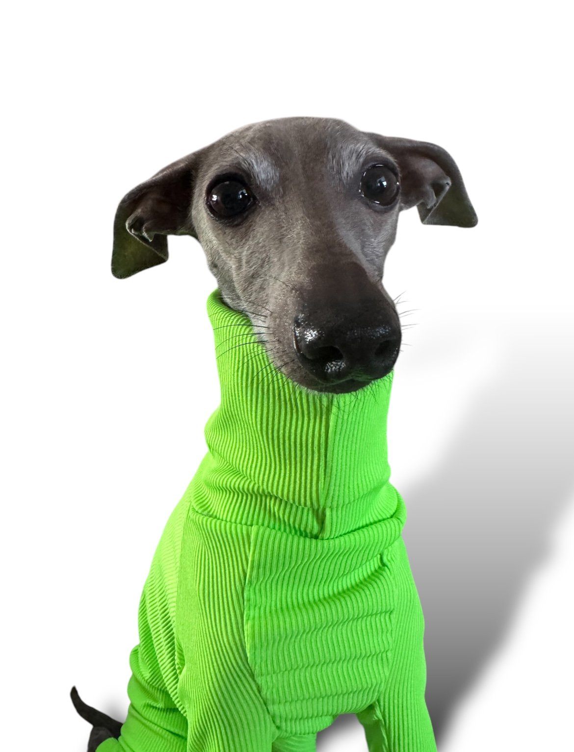 Ribbed Jersey - Hi-Visibility Yellow