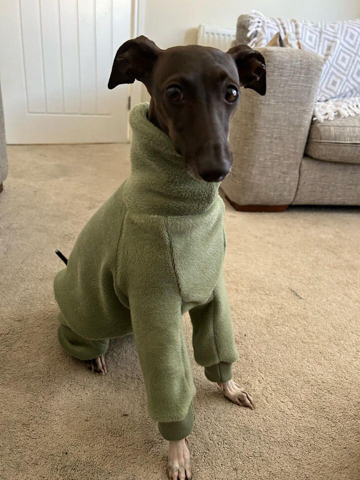 Fleece Lined Sweatshirt - Honey Yellow