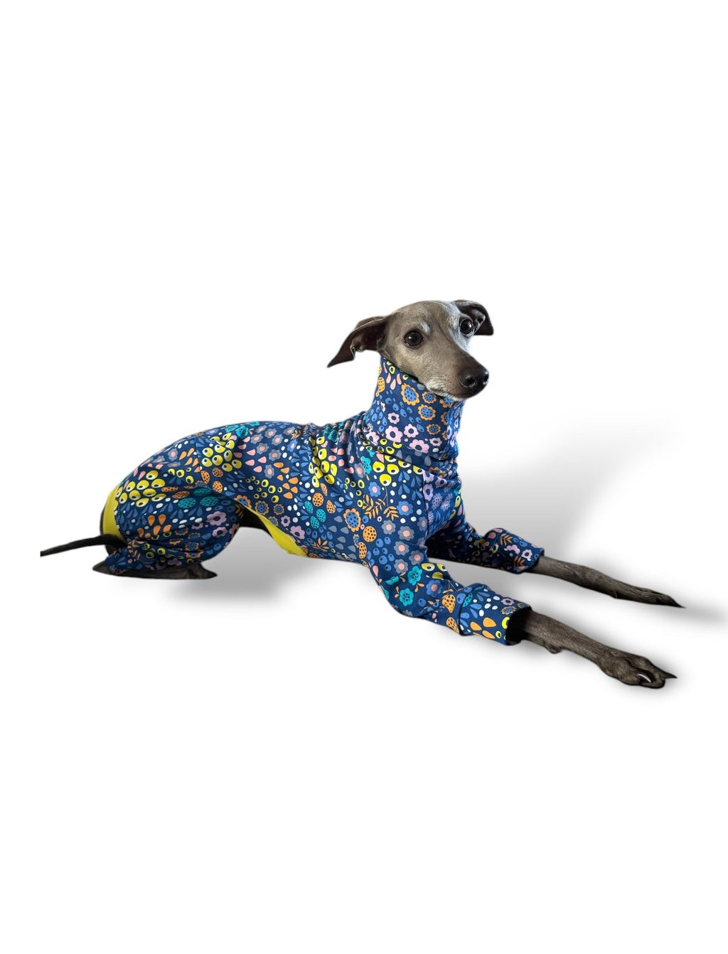 Jersey Suit - Bright Florals