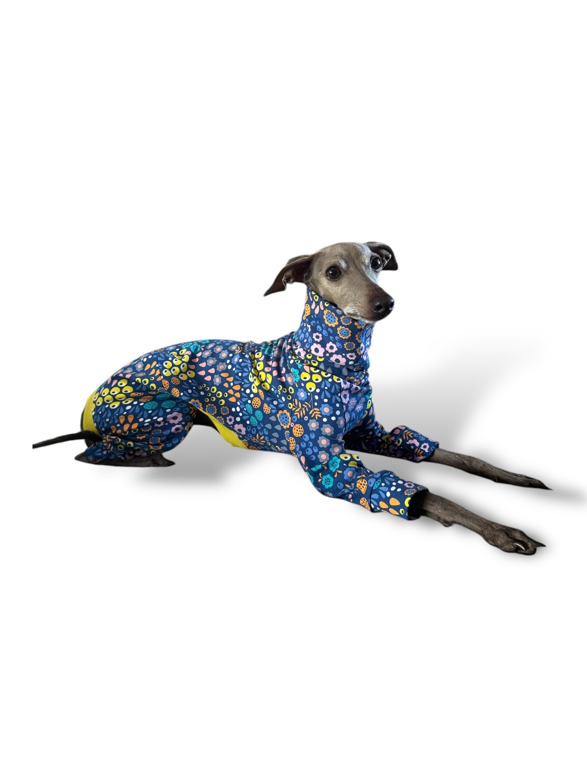 Jersey Suit - Bright Florals