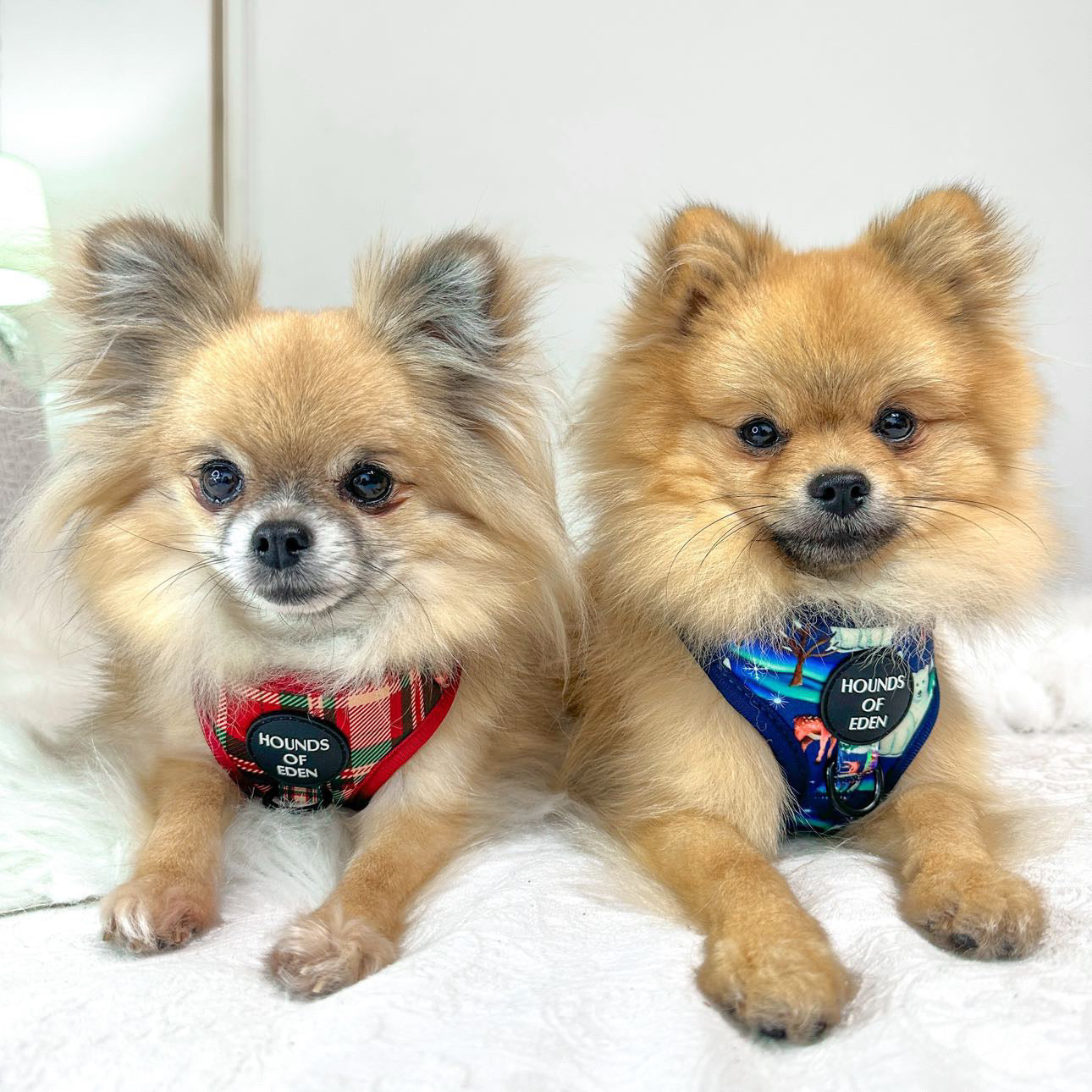 Tartan Me Up - Red & Cream Tartan Design Poop Bag Holder