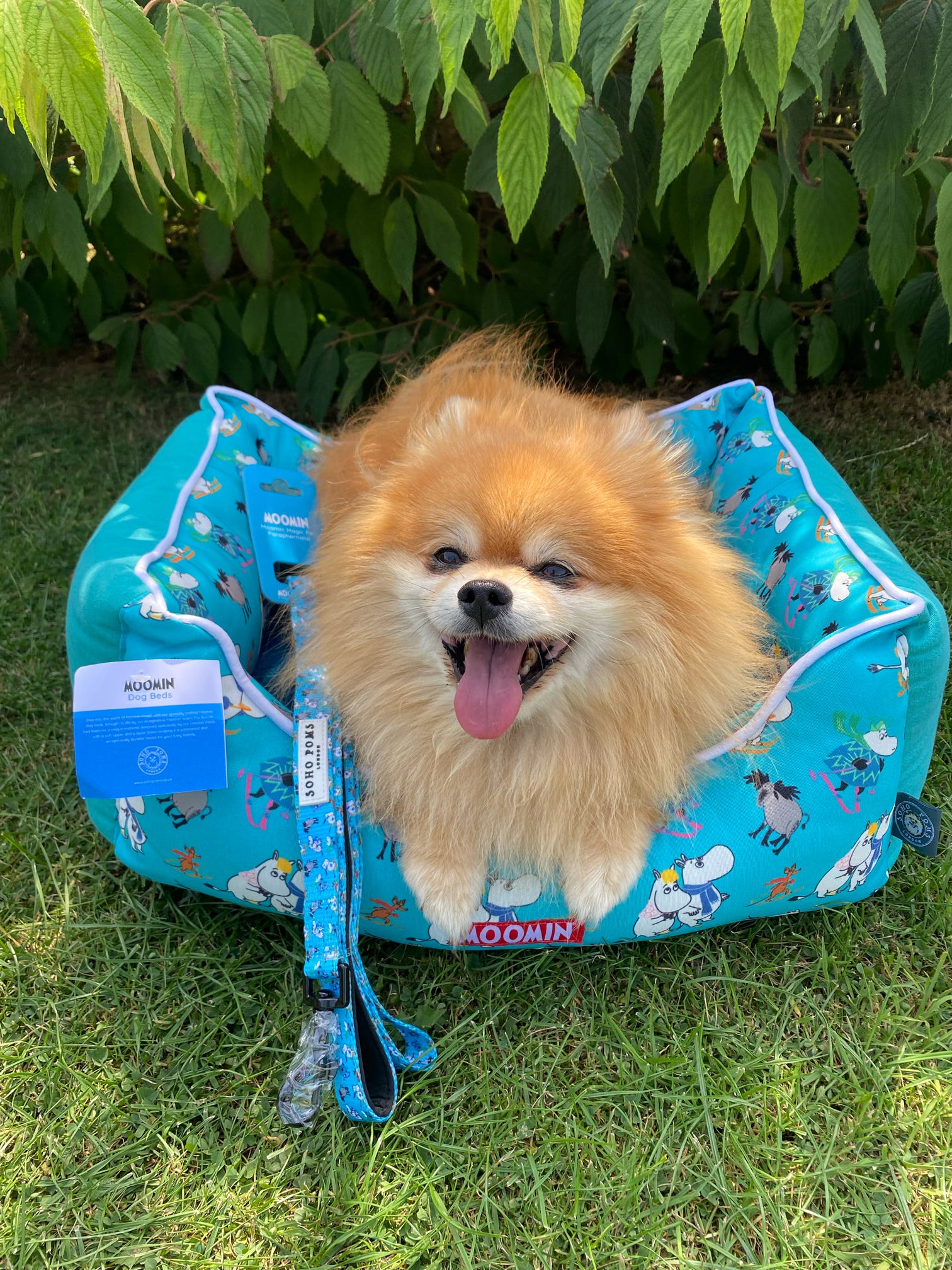 Moomins Blue Ski Holidays Bed by SohoPoms