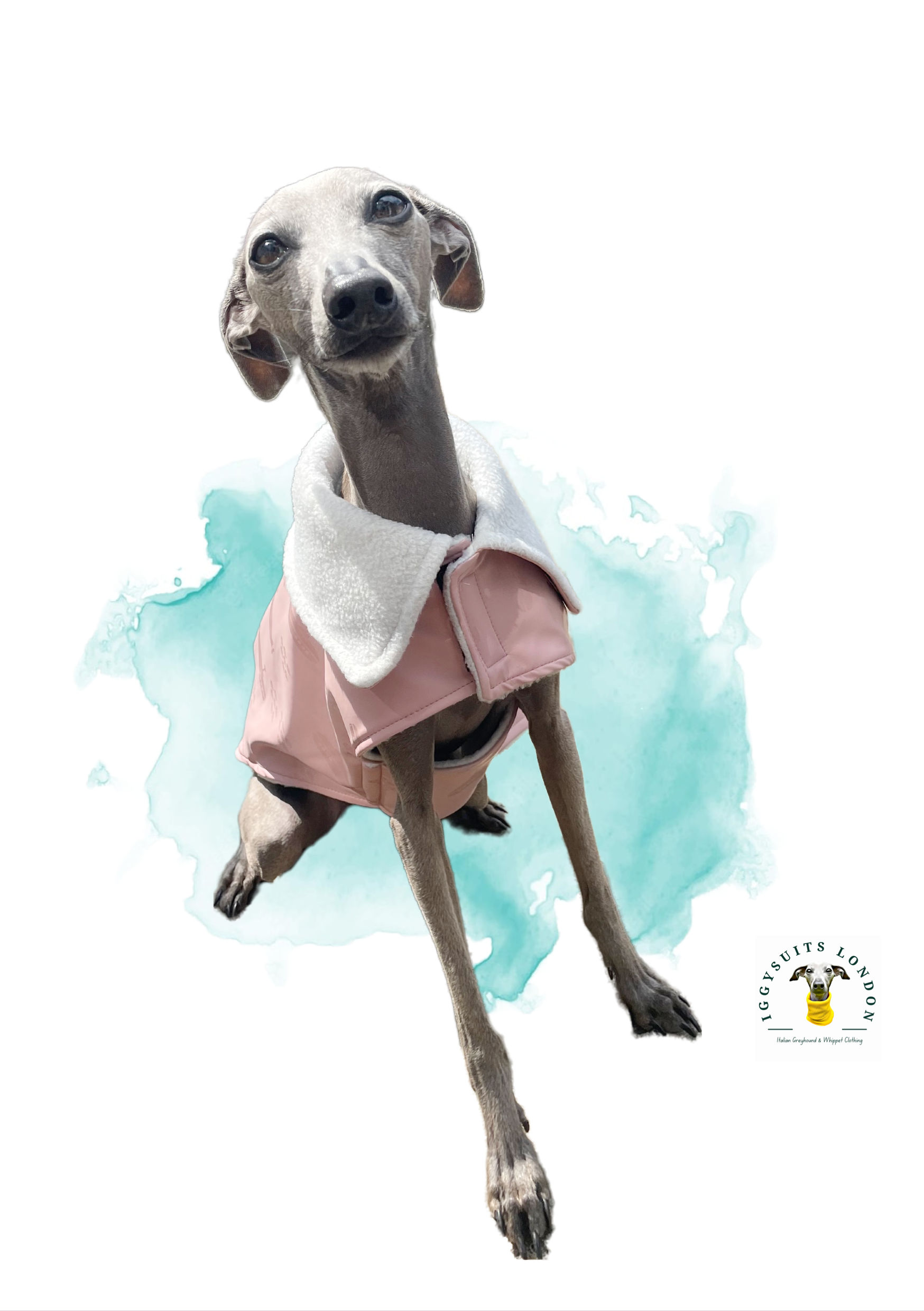 Rain Mac - Blush Pink Submarines