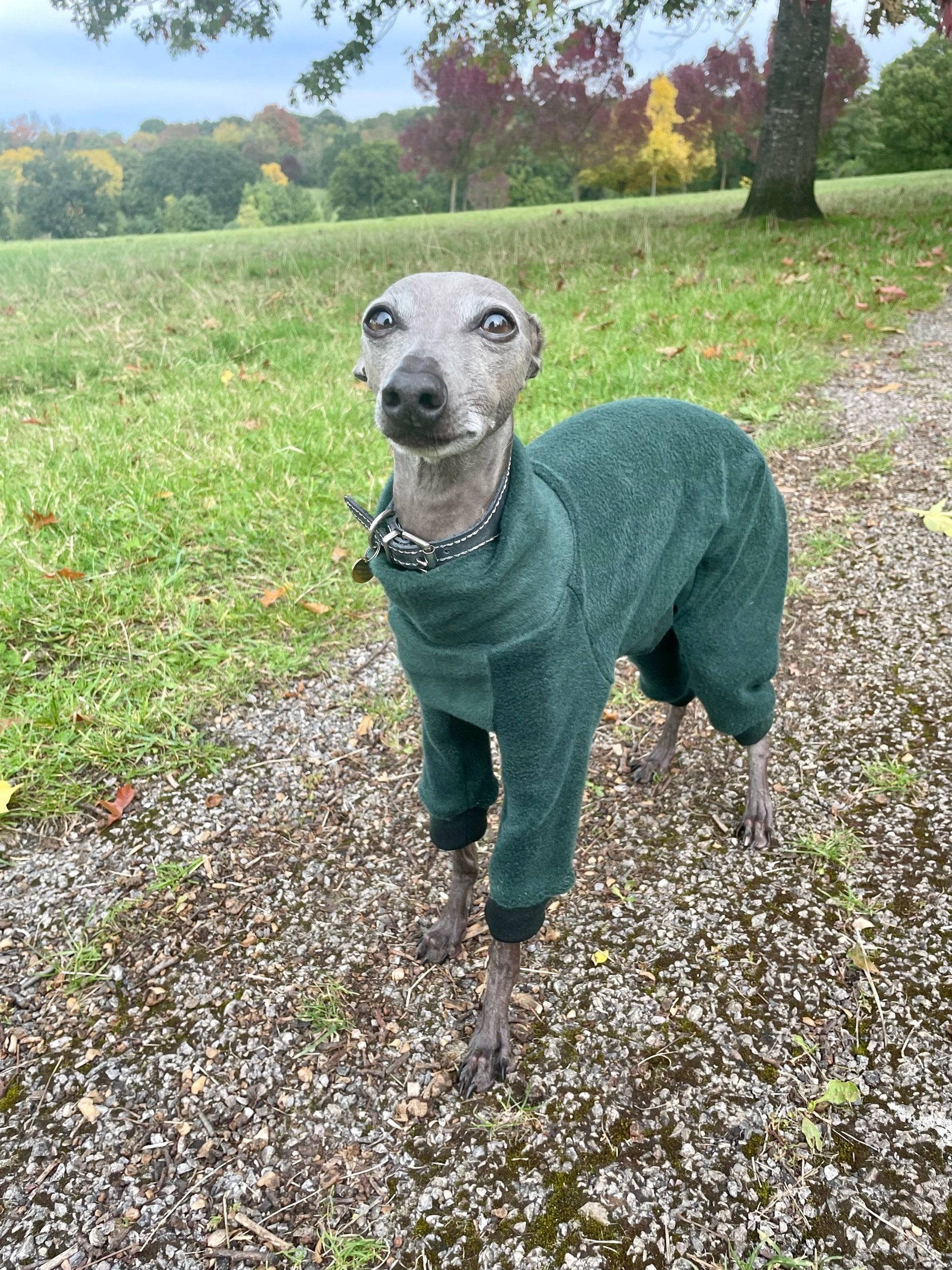 Fleece Lined Sweatshirt - Charcoal Grey