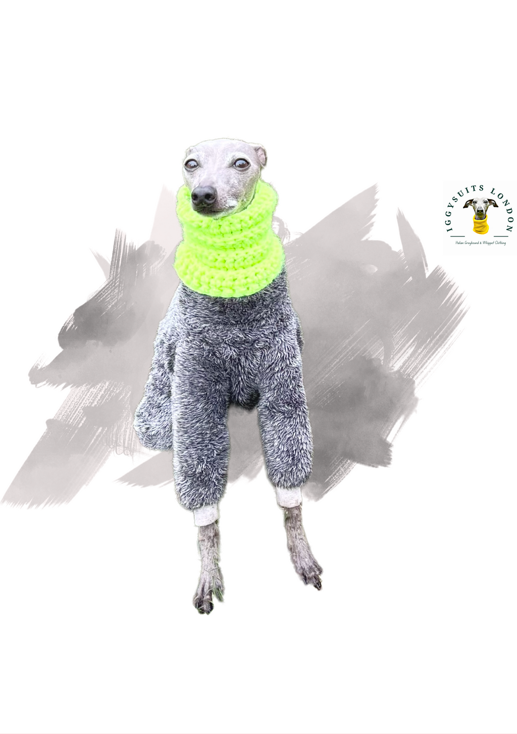 Dog wearing a bright green sweater on a white background