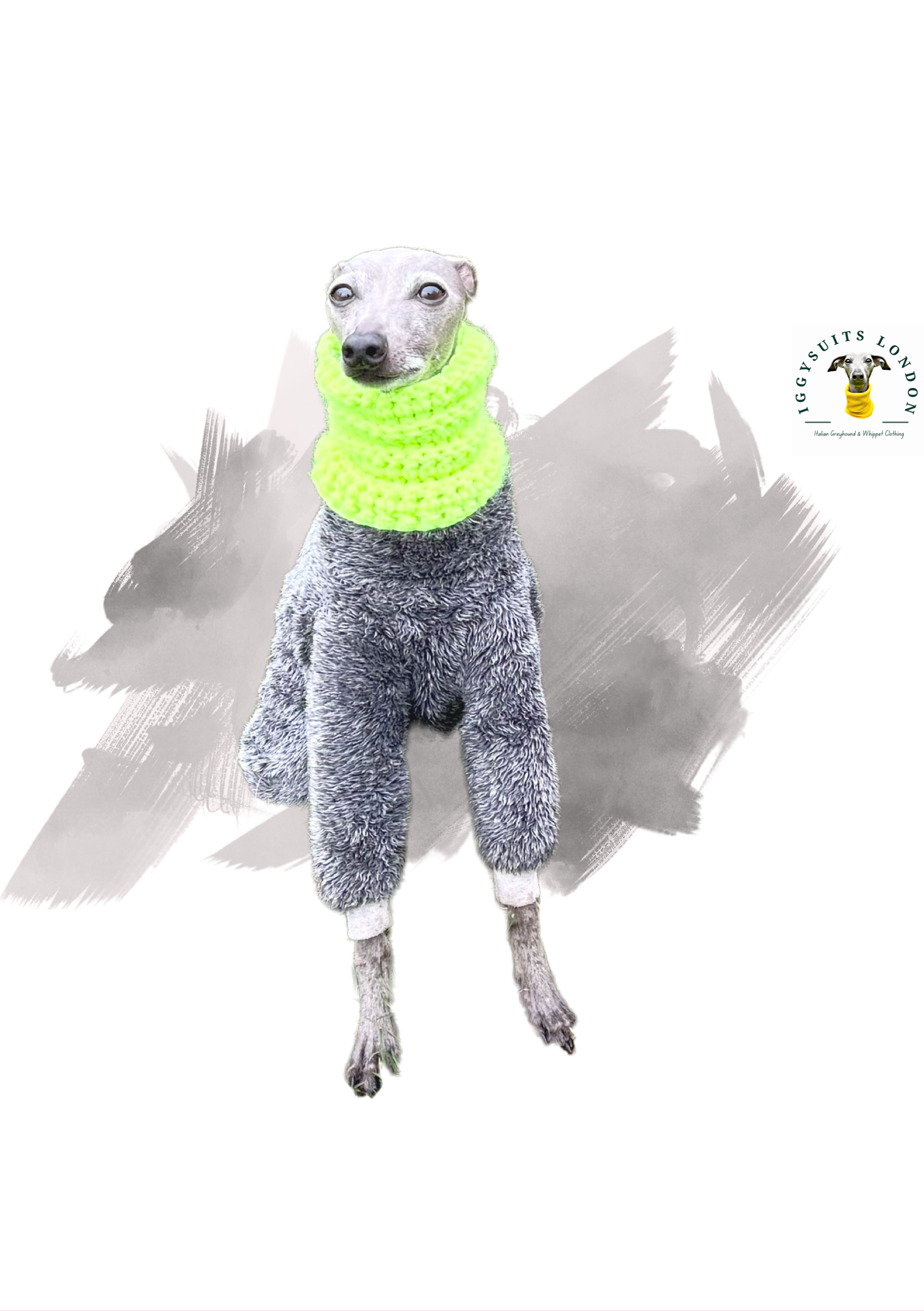 Dog wearing a bright green sweater on a white background