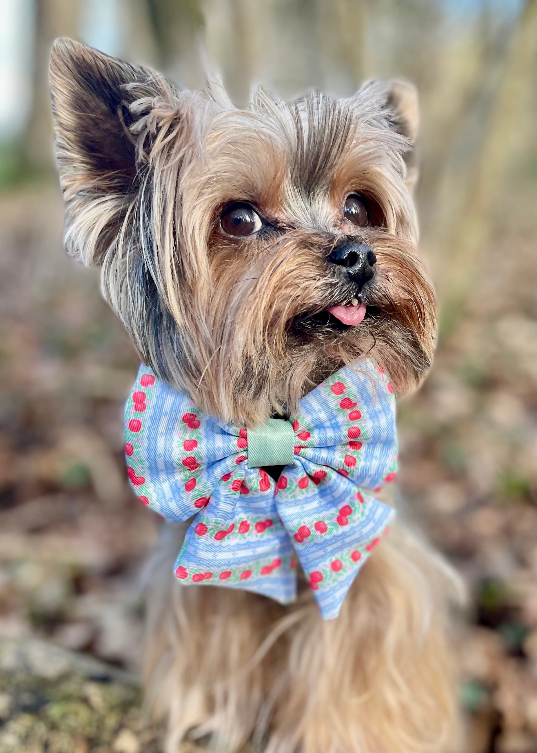 Eden's Orchard - Dog Sailor Bow Tie